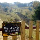 대로목장 이미지