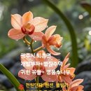 옥돌별장 이미지