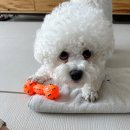 하대동234 이미지