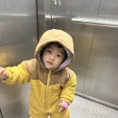 서초서울마더스성형외과의원 이미지