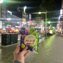 J-060 | 삿포로 스스키노 이자카야 쿠시토리 이마리 교자 술집 추천