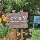 상아축산 이미지