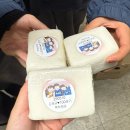 (주)미디어프론트 | [씽크필더 10기] 서울이랜드FC 대학생 마케터 활동 후기 💬