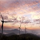 서광목장 이미지