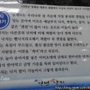신안갯벌세발낙지 이미지