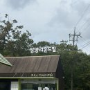 삼양 | 강원도 평창여행지 추천 대관령 삼양라운드힐 다녀온 솔직후기