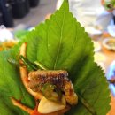 산꼼장어 | 원주맛집 무실동술집 꼼장어,막창,소갈비살맛집 혜미네산꼼장어 후기