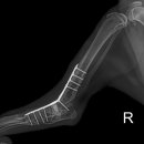 탑(TOP)메디칼 이미지