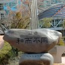 블루(Blue) 이미지