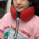 여행용 목베개 추천 스멀리드 기내용 후기 + 트래블 올인원 패키지