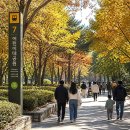 11215-자양4(A)-자양공공힐링센터2 | 출근길·주말에 딱! 7호선 역에서 바로 걷기 좋은 서울 공원·숲길