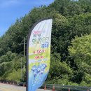 [강원도 횡성] 2026 횡성 호수길 축제 | 다녀온 따끈한 후기