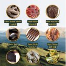 펫트러스트 이미지