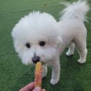 카페앙금앙금 네이버블로그