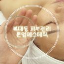 톤 에스테틱