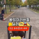 부산시민공원전동차 이미지