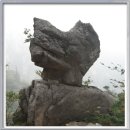 종관 Daum카페