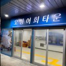 울릉회센타 | 울릉오징어회타운/ 저동항 회센터 / 저동항 가성비 회 / 울릉도 회센터 / 울릉도 자연산회 / 울릉도...