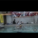 Allswimmer 이미지