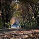 도심코스 이미지