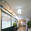 김은아소아청소년과의원 이미지