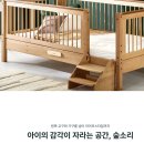 화니가구 | 돌아기 장난감 추천 숲소리 도형 자동차 장난감 14개월 아기 후기