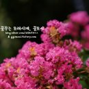 찬우물농원