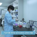 필영픽쳐스