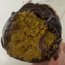 초코렛 | [공지] 수원 두바이쫀득쿠키 맛집 망포역 라라베이커리 두쫀쿠 두바이롤 두바이초코렛 내돈내산 후기