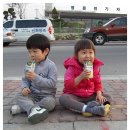 준용농장 Daum카페