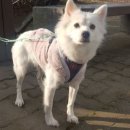 군산시-01219 네이버블로그