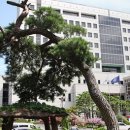 대전법원어린이집 이미지