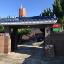 제주에 산다 이미지