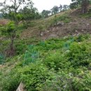 택양농장 이미지