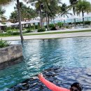 나트랑 에서~ 이미지