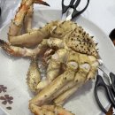 킹수산 | 노량진수산시장 블루킹크랩 성일수산 황제식당 내돈내산 솔직 후기