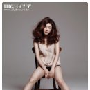 종합란제리 이미지