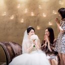 다미가든 이미지