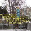 선인수맥풍수감정연구원 수맥과터 진단-서울 송파구 잠실 단독주택 출장수맥탐사및 집터감정(집에 들어가기만 하면 ,,,) 이미지