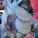 파도소리 펜션 이미지