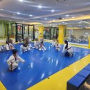 월드스타클래스태권도장 이미지