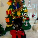 몽스파 연제점 이미지