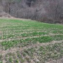 푸른꿈농장 이미지