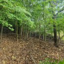 덕진마을 이미지