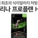 고제용 동물병원 이미지