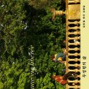 「무정형의 삶」 북토크 이미지