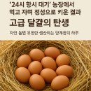 가동농장 이미지