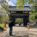 신사2-012 | 후쿠오카 3박 4일 여행 일정 볼거리 총정리