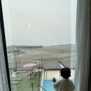 미스터와이 애견풀빌라 이미지