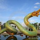 비엔에이 이미지